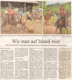 Zeitungsartikel Hoffest